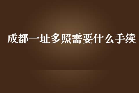 成都一址多照需要什么手续_https://m.jnlaobingbanjia.com_股市新闻_第1张