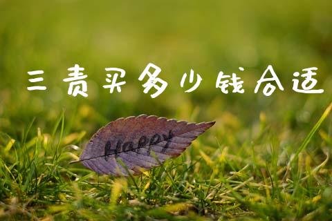 三责买多少钱合适_https://m.jnlaobingbanjia.com_基金市场_第1张