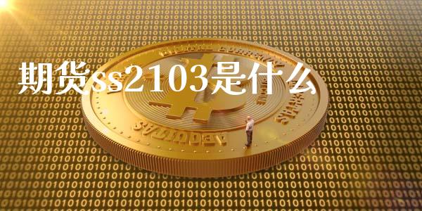 期货ss2103是什么_https://m.jnlaobingbanjia.com_理财规划_第1张