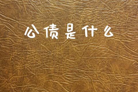 公债是什么_https://m.jnlaobingbanjia.com_理财规划_第1张