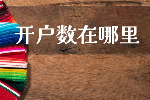 开户数在哪里_https://m.jnlaobingbanjia.com_全球市场_第1张