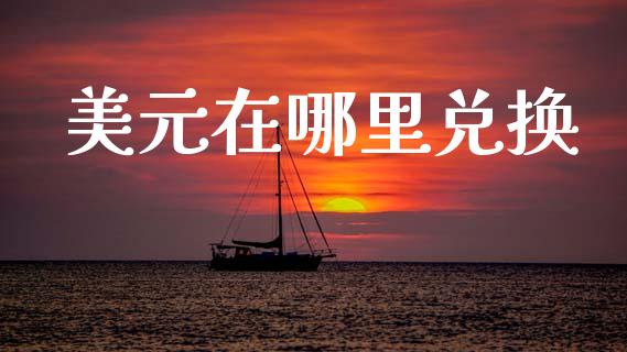 美元在哪里兑换_https://m.jnlaobingbanjia.com_全球市场_第1张