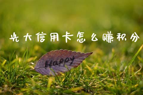 光大信用卡怎么赚积分_https://m.jnlaobingbanjia.com_基金市场_第1张