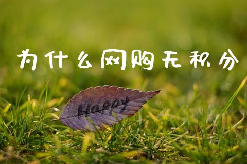 为什么网购无积分_https://m.jnlaobingbanjia.com_股市新闻_第1张