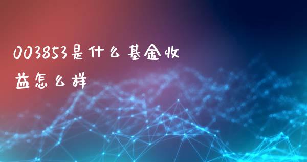 003853是什么基金收益怎么样_https://m.jnlaobingbanjia.com_全球市场_第1张