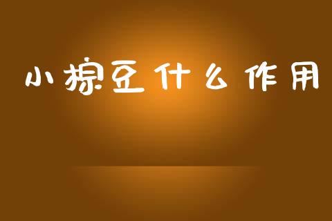 小棕豆什么作用_https://m.jnlaobingbanjia.com_理财规划_第1张