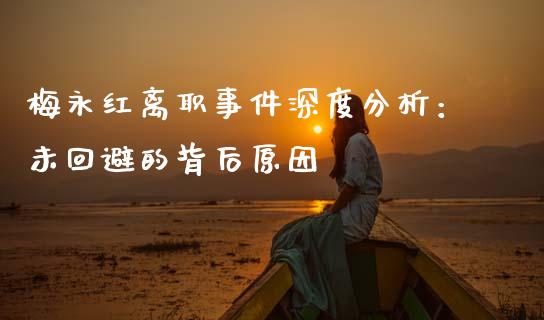 梅永红离职事件深度分析：未回避的背后原因_https://m.jnlaobingbanjia.com_区块链_第1张
