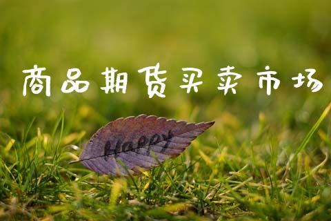 商品期货买卖市场_https://m.jnlaobingbanjia.com_金融监管_第1张