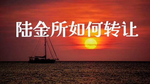 陆金所如何转让_https://m.jnlaobingbanjia.com_股市新闻_第1张
