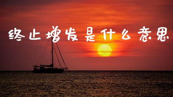 终止增发是什么意思_https://m.jnlaobingbanjia.com_全球市场_第1张