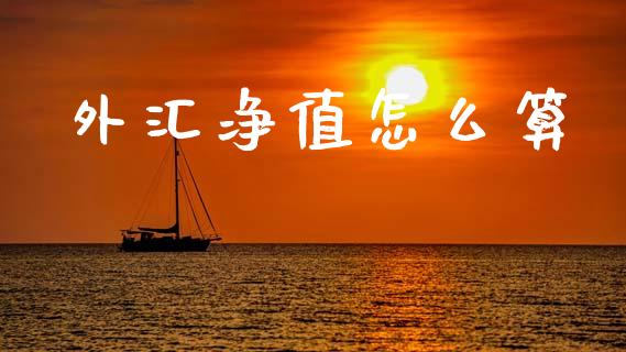 外汇净值怎么算_https://m.jnlaobingbanjia.com_基金市场_第1张