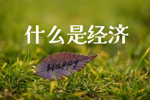 什么是经济_https://m.jnlaobingbanjia.com_金融监管_第1张