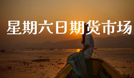 星期六日期货市场_https://m.jnlaobingbanjia.com_金融监管_第1张