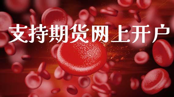 支持期货网上开户_https://m.jnlaobingbanjia.com_理财规划_第1张