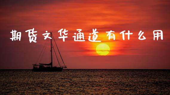 期货文华通道有什么用_https://m.jnlaobingbanjia.com_金融监管_第1张