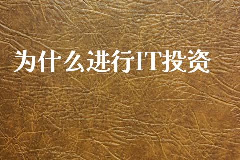 为什么进行IT投资_https://m.jnlaobingbanjia.com_金融监管_第1张