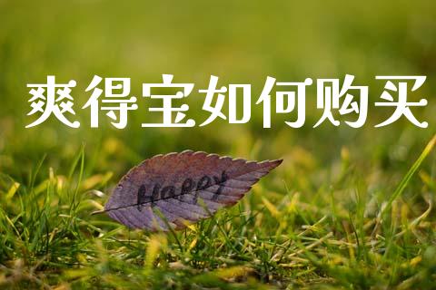爽得宝如何购买_https://m.jnlaobingbanjia.com_理财规划_第1张
