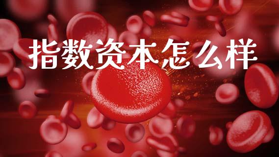 指数资本怎么样_https://m.jnlaobingbanjia.com_理财规划_第1张
