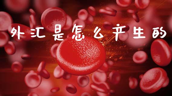 外汇是怎么产生的_https://m.jnlaobingbanjia.com_全球市场_第1张