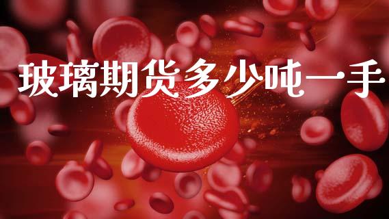 玻璃期货多少吨一手_https://m.jnlaobingbanjia.com_理财规划_第1张