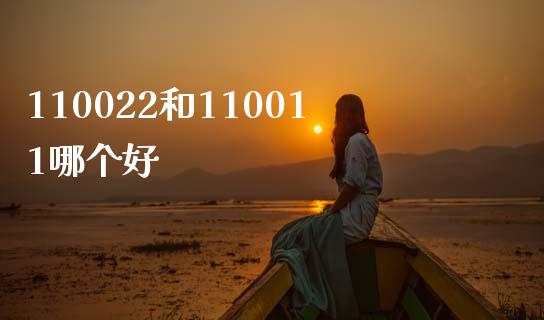 110022和110011哪个好_https://m.jnlaobingbanjia.com_股市新闻_第1张