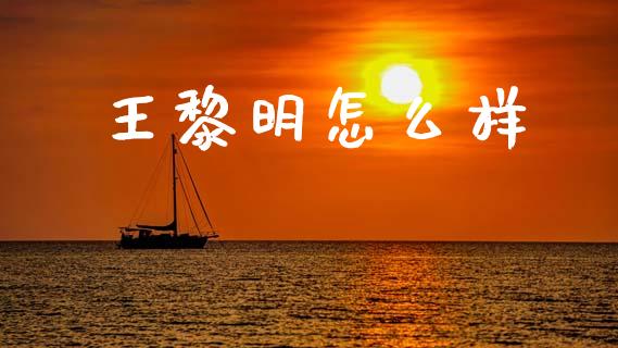 王黎明怎么样_https://m.jnlaobingbanjia.com_全球市场_第1张