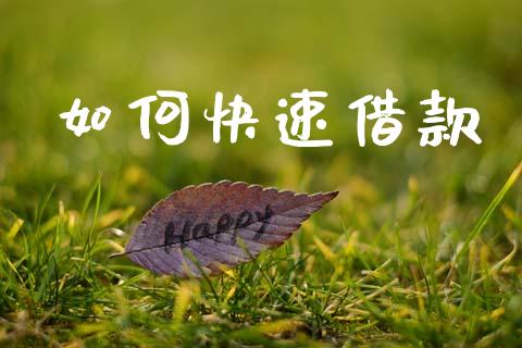 如何快速借款_https://m.jnlaobingbanjia.com_股市新闻_第1张