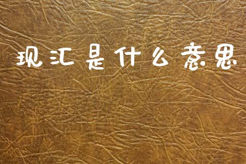 现汇是什么意思_https://m.jnlaobingbanjia.com_理财规划_第1张
