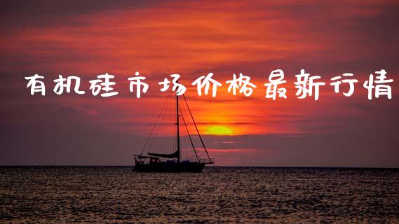有机硅市场价格最新行情_https://m.jnlaobingbanjia.com_金融监管_第1张