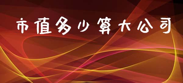 市值多少算大公司_https://m.jnlaobingbanjia.com_全球市场_第1张