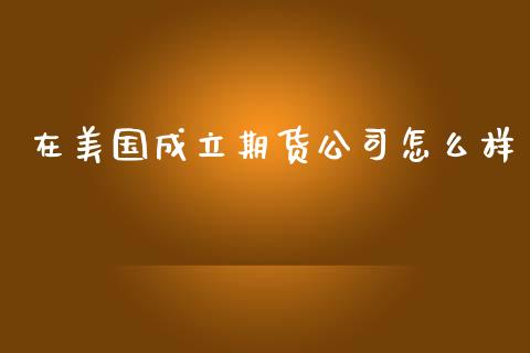 在美国成立期货公司怎么样_https://m.jnlaobingbanjia.com_基金市场_第1张