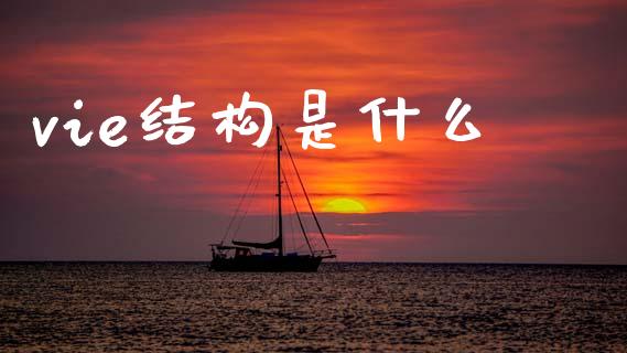 vie结构是什么_https://m.jnlaobingbanjia.com_全球市场_第1张