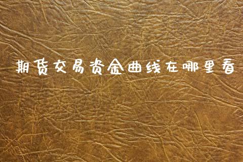 期货交易资金曲线在哪里看_https://m.jnlaobingbanjia.com_区块链_第1张