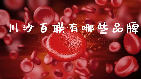川沙百联有哪些品牌_https://m.jnlaobingbanjia.com_基金市场_第1张