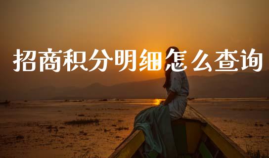 招商积分明细怎么查询_https://m.jnlaobingbanjia.com_金融监管_第1张