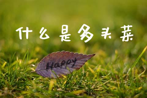 什么是多头菜_https://m.jnlaobingbanjia.com_全球市场_第1张