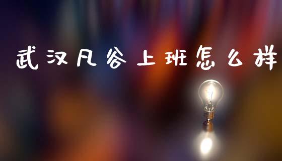 武汉凡谷上班怎么样_https://m.jnlaobingbanjia.com_全球市场_第1张