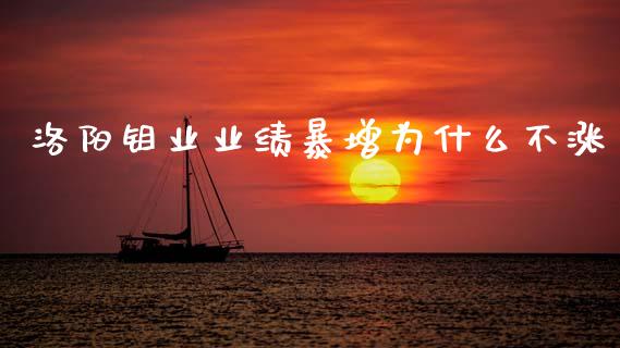 洛阳钼业业绩暴增为什么不涨_https://m.jnlaobingbanjia.com_区块链_第1张