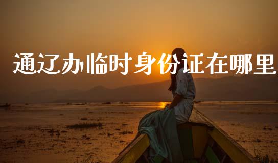 通辽办临时身份证在哪里_https://m.jnlaobingbanjia.com_金融监管_第1张