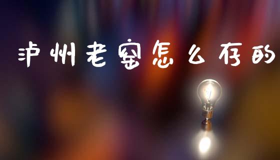泸州老窑怎么存的_https://m.jnlaobingbanjia.com_股市新闻_第1张