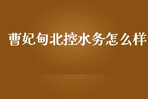 曹妃甸北控水务怎么样_https://m.jnlaobingbanjia.com_区块链_第1张