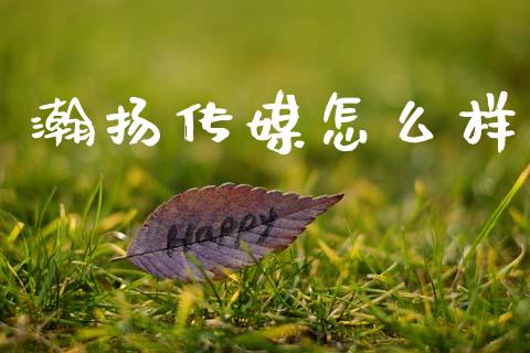 瀚扬传媒怎么样_https://m.jnlaobingbanjia.com_全球市场_第1张