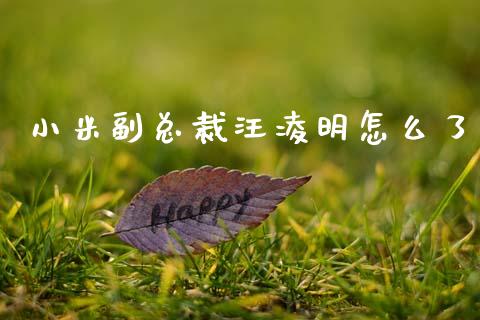 小米副总裁汪凌明怎么了_https://m.jnlaobingbanjia.com_全球市场_第1张