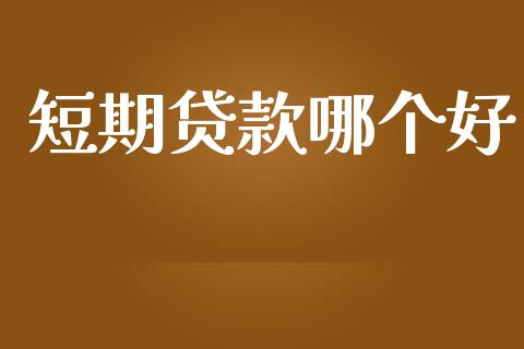 短期贷款哪个好_https://m.jnlaobingbanjia.com_理财规划_第1张