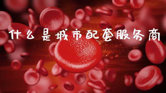 什么是城市配套服务商_https://m.jnlaobingbanjia.com_金融监管_第1张