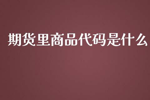 期货里商品代码是什么_https://m.jnlaobingbanjia.com_理财规划_第1张
