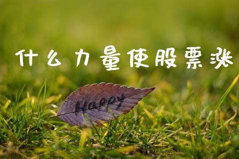 什么力量使股票涨_https://m.jnlaobingbanjia.com_理财规划_第1张
