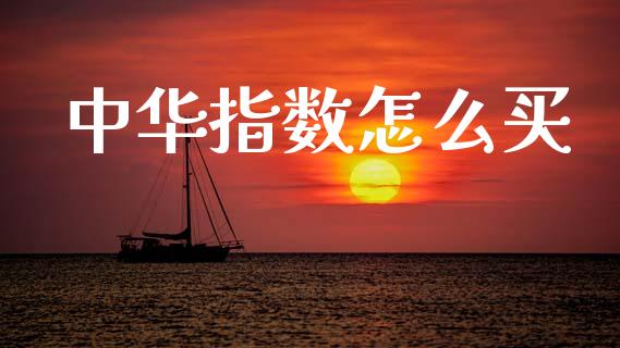 中华指数怎么买_https://m.jnlaobingbanjia.com_理财规划_第1张