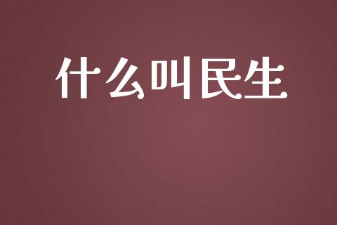 什么叫民生_https://m.jnlaobingbanjia.com_理财规划_第1张