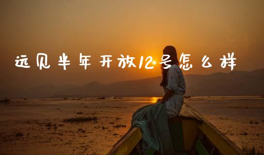 远见半年开放12号怎么样_https://m.jnlaobingbanjia.com_全球市场_第1张